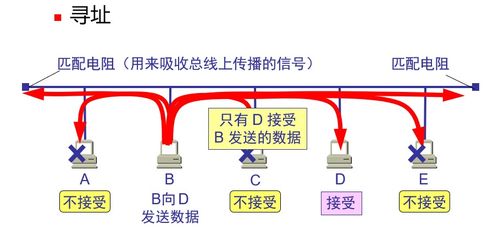 計算機網(wǎng)絡體系結構 數(shù)據(jù)鏈路層